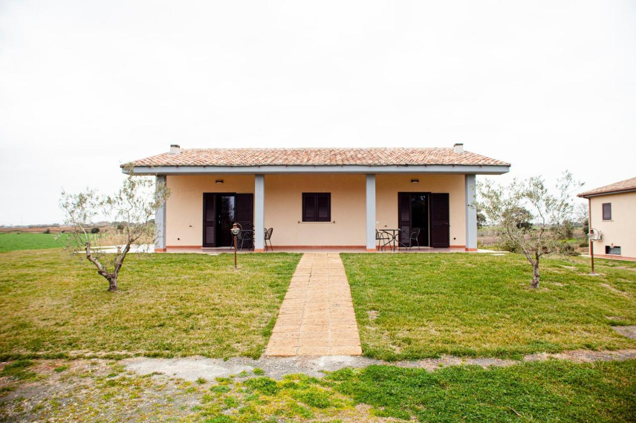Podere Giovanni Olivo Tarquinia Luaran gambar