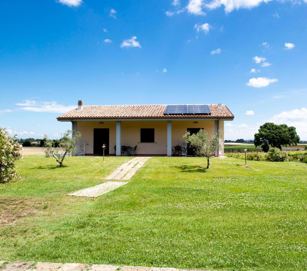 Podere Giovanni Olivo Tarquinia Luaran gambar